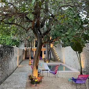 Hotelito Yum Kaax Aparthotel